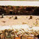 فدک کجاست؟