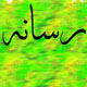 رسانه های نو ظهور