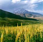کوه دماوند