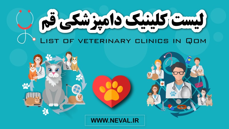 بهترین کلینیک دامپزشکی قم | آدرس+ شماره تماس